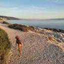 A dog walking on a coastal path