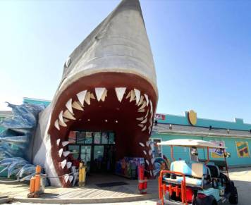 Tourist shop in Port Aransas with a shark entry