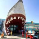 Tourist shop in Port Aransas with a shark entry
