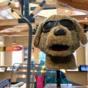 Ripperoo, the Brekanridge Ski and Ride School mascot at the history museum.