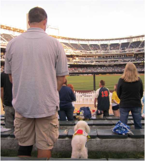 Padres introduce new members to 2022 Paw Squad at Petco Park 