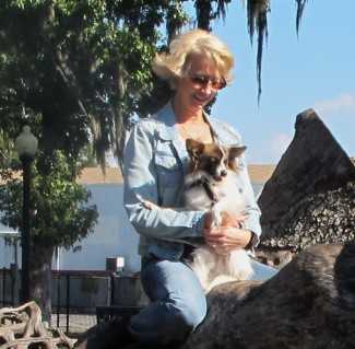 Dog socialization at the dog park