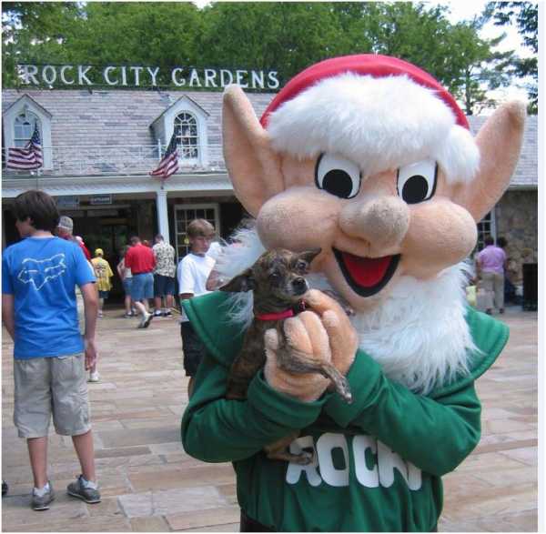 Visit Rock City Gardens with Dogs: FIDO Friendly location | FIDO Friendly