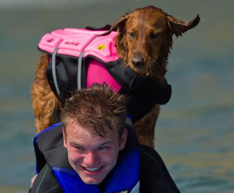 Ricochet the surfing dog and his human, Patrick
