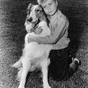 Jon Provost as a boy huggin Lassie