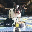 Backwoods Fido Friendly dog dinner