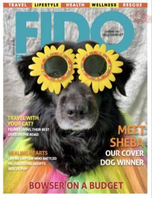 Fido Friendly Issue 95
