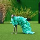 Tika poses elegantly in a gren designer gown