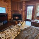 Honey on the bed in front of the fireplace at the Stanford Inn