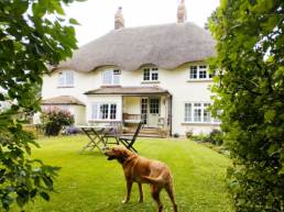 A thatched cottage and a Labrador - It can only be England