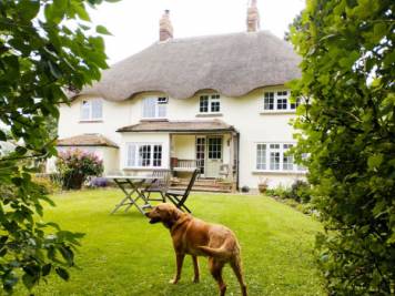 A thatched cottage and a Labrador - It can only be England