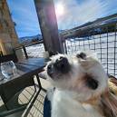 Hoey on the Vacasa Balcony