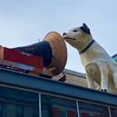 DOG WITH RECORD PLAYER  Walk amid culture in the Mount Vernon neighborhood