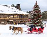 3300-acre Sunriver Resort where dogs are welcome on all trails in this winter wonderland