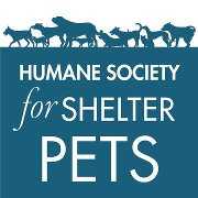 The Humane Society for Shelter Pets Shares Some Tips & Tricks To Help ...