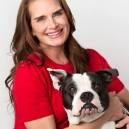 Brook Shields and her pup, Tuzi