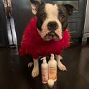 Brook Shields and her pup, Tuzi