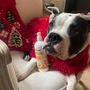 Brook Shields and her pup, Tuzi