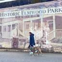 Historic Columbia, South Carolina