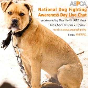 Take action and raise awareness during Prevention of Cruelty to Animals  Month | FIDO Friendly