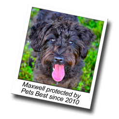 Pets Best Named One Of The Best Places to Work in Idaho