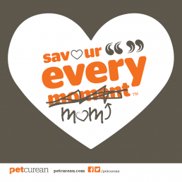 Thanks MOM - FIDO Shares The Top 5 Reasons We Love You