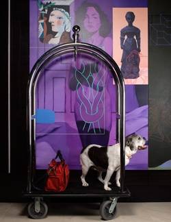 Pets Stay Free at Provenance Hotels in May For National Pet Month