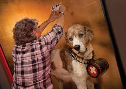 Rescue dog from the 1800’s, Barry der Menschenretter