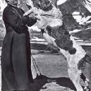 Barry der Menschenretter Rescue dog from the 1800’s