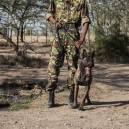 Dogs Take on War with Rhino Poachers in Africa.