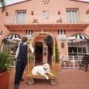 Fido-welcoming seaside communities