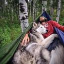 Loki The Wolfdog & Kelly Lund