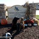 Honey Creek Resort State Park