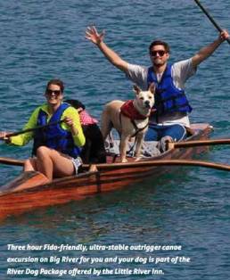 Fido Friendly outrigger canoe excursion