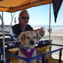 Road Trippin&rsquo; Along California&rsquo;s Central Coast