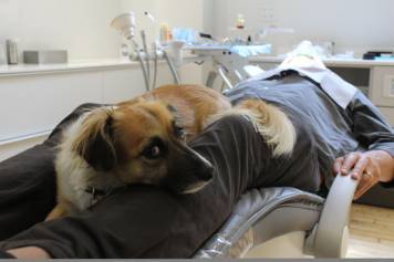 Luna has become an intrinsic part of treatment at The Dental Boutique