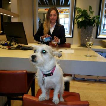 Honey checks in to the Inn at 500