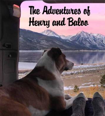 Henry and Baloo, as they take in nature’s uncompromising beauty