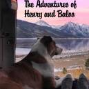 Henry and Baloo, as they take in nature&rsquo;s uncompromising beauty