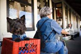 Fido Friendly shops