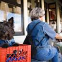 Fido Friendly shops