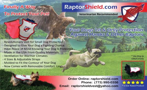 Veterinarian Recommended Against Hawk Attacks & Other Birds of Prey Raptor Shield Pet Pertection Vest 