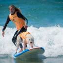 Fido Friendly surfing