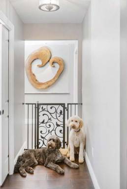 Fusion pet safety gate