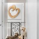 Fusion pet safety gate