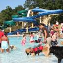 Waterfalling in love with the Parks and urban delights of Greenville