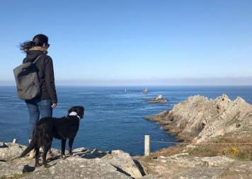 Road Trip with my dog Shark