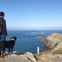 Road Trip with my dog Shark