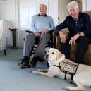 Sully, an America’s VetDogs’ service dog lends a helping paw to a former president.