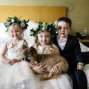 Fido joins the wedding party